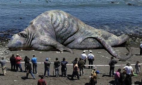 20 Biggest Sea Monsters Ever Caught In History