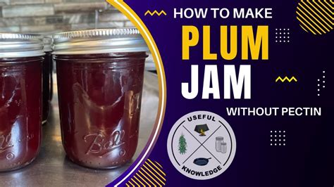 Plum Jam  Useful Knowledge