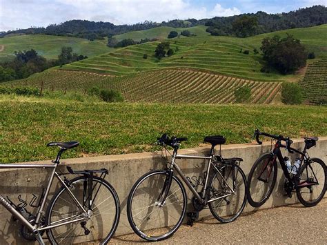 Explore Sonoma County On a Bike Ride Through the Vineyards