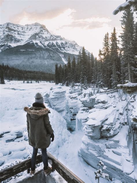 Discover Your Next Winter Adventure in Jasper Alberta