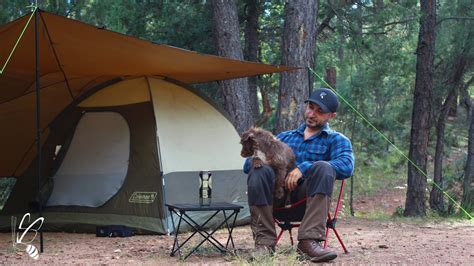 Solo Camping on an Island With My Dog